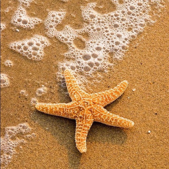 Pastel Bracelets - Picture 3 of 5